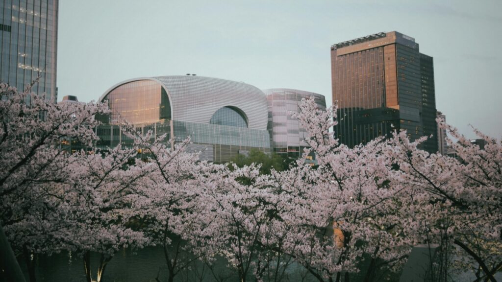 Nepal YouTube Bloggers ले कसरी India Advertisers सँग २०२५ मा काम गर्ने