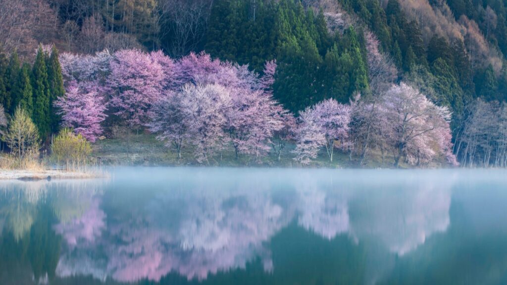 Nepal Instagram bloggers र USA advertisers बीच सफल सहकार्य 2025 मा