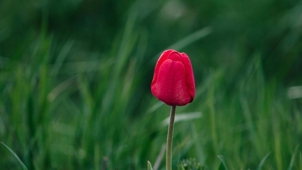 How Nepal Pinterest bloggers can collaborate with Norway advertisers in 2025