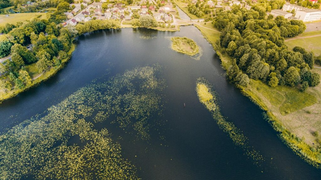 Nepal WhatsApp Blogger हरु कसरी India Advertisers सँग काम गर्न सक्छन् 2025 मा