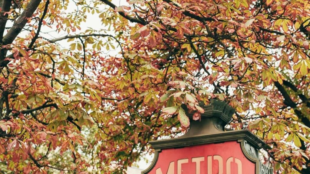 2025 Bangladesh WhatsApp AllCategory Advertising Rate Card Nepal का लागि