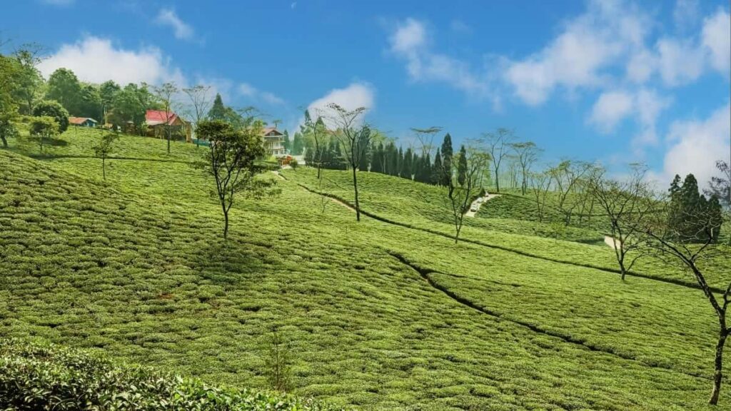 2025 United Arab Emirates YouTube AllCategory Advertising Rate Card Nepal का लागि