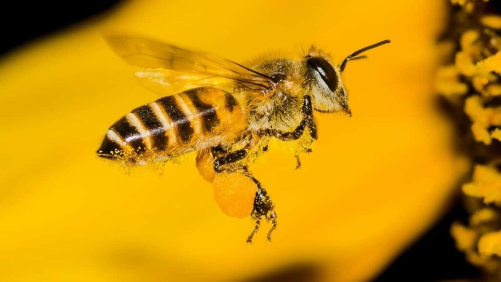 2025 South Africa WhatsApp AllCategory Advertising Rate Card Nepal मा सिधै बुझ्ने तरिका