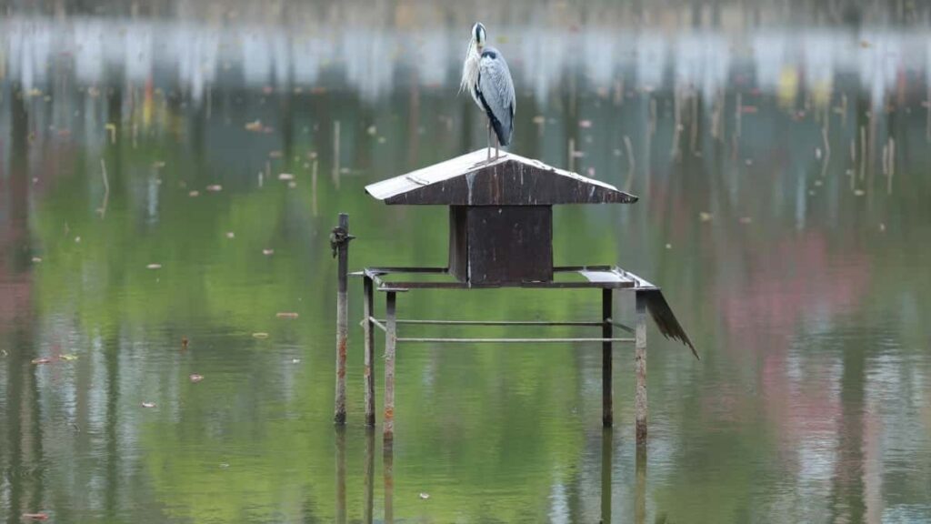 2025 संयुक्त राज्य अमेरिकाको टिकटक सबै वर्ग विज्ञापन मूल्य सूची नेपालका लागि