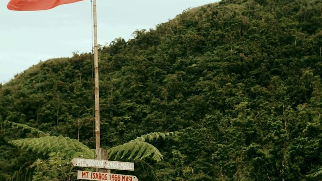 2025 Saudi Arabia Telegram सबै वर्गको विज्ञापन दर नेपालका लागि