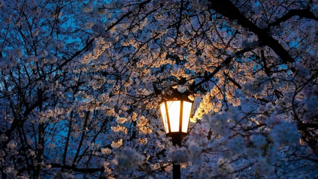 2025 United States Facebook सबै वर्ग विज्ञापन दर कार्ड नेपालको दृष्टिकोणबाट