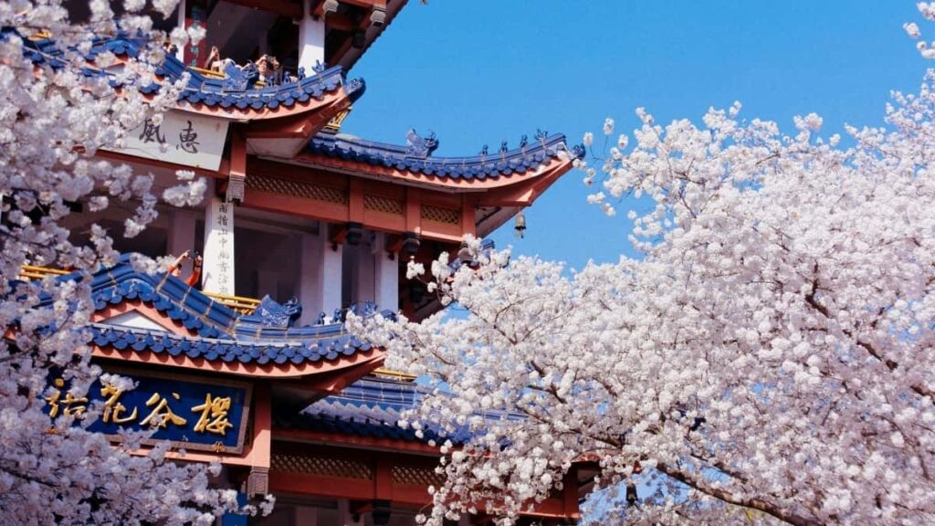 २०२५ बेल्जियम टेलीग्राम विज्ञापन दर तालिका नेपालका लागि