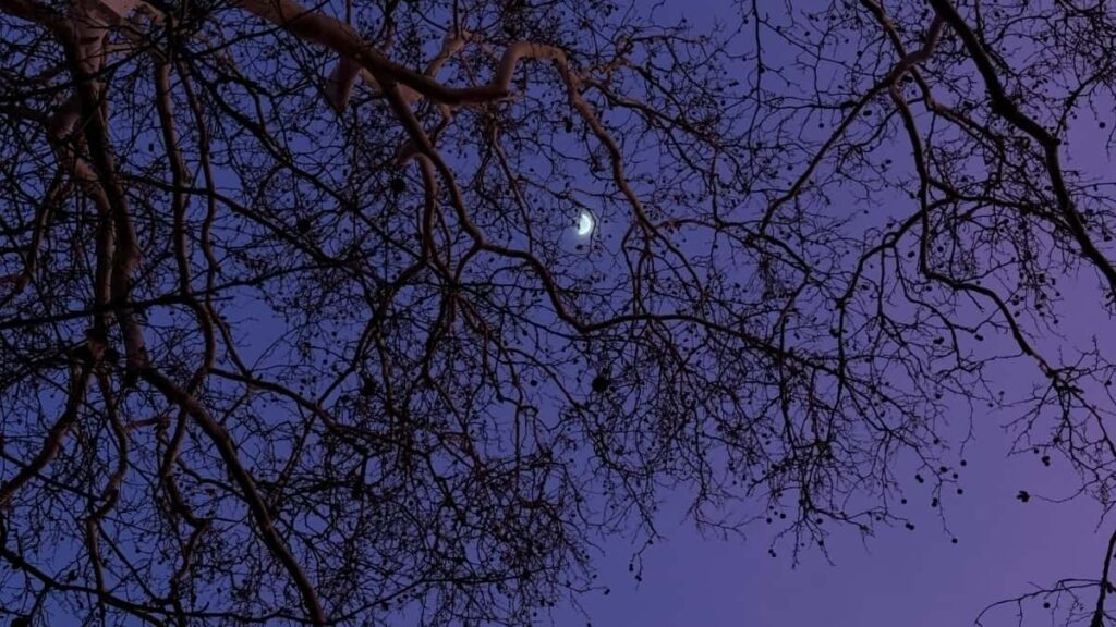 २०२५ पाकिस्तान पिनटेरेस्ट विज्ञापन दर तालिका नेपालका लागि