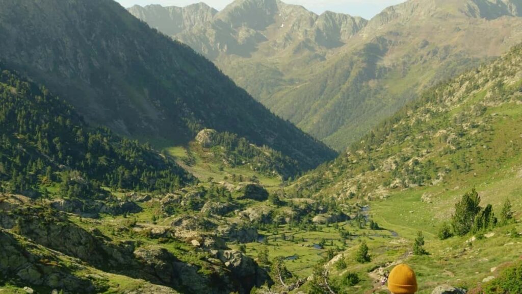 2025 Vietnam WhatsApp सबै वर्ग विज्ञापन दर नेपालका लागि