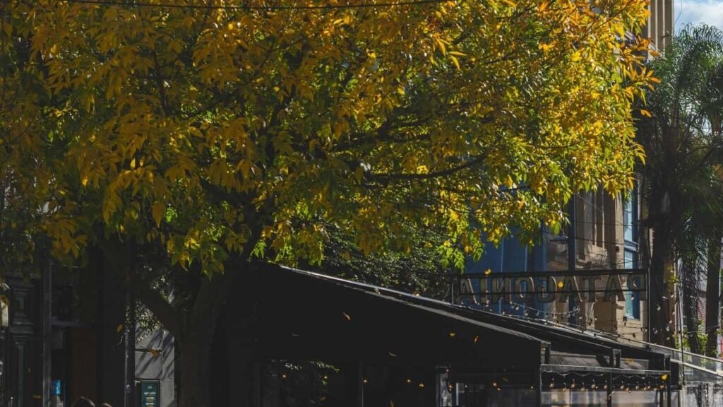 २०२५ भियतनाम फेसबुक सबै वर्गको विज्ञापन दर सूची नेपालका लागि