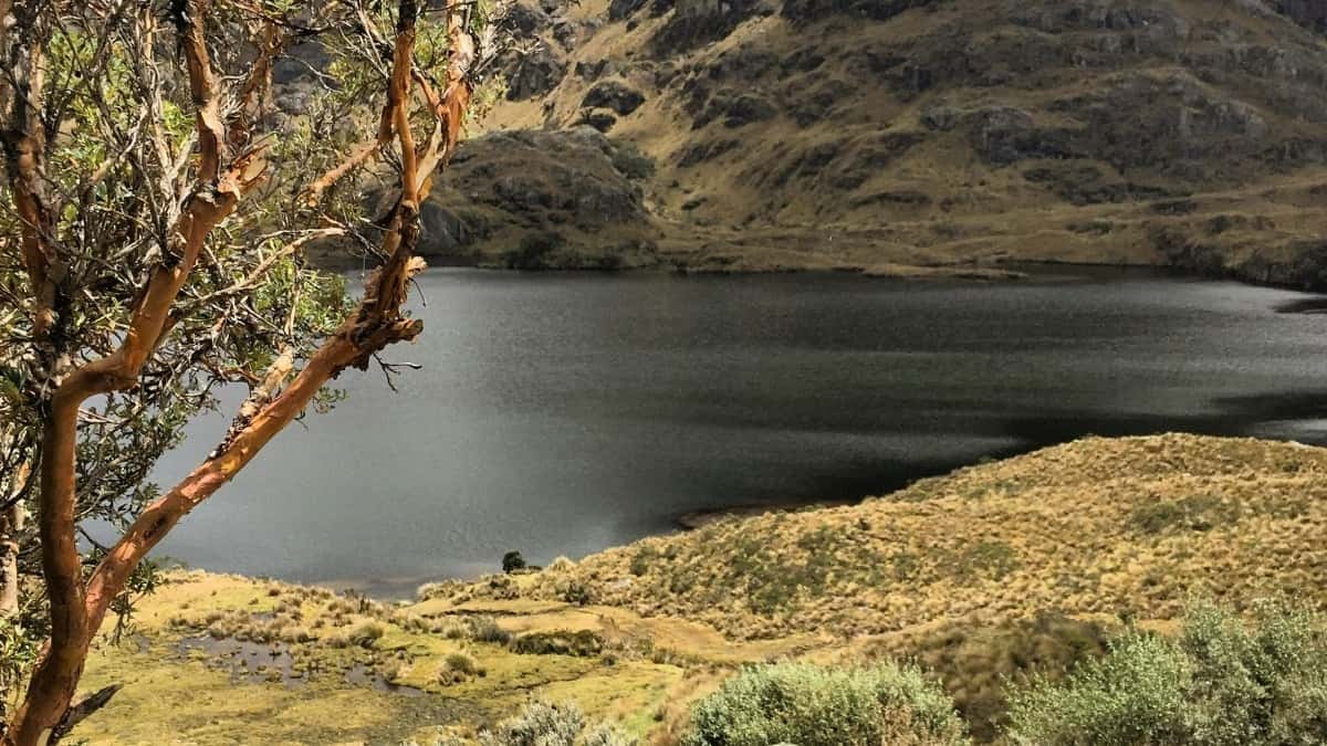 २०२५ नर्वे ट्विटर सबै वर्ग विज्ञापन दर सूची नेपालका लागि