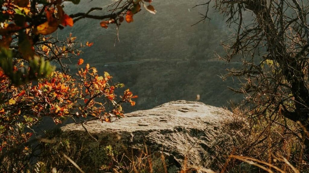 2025 Sweden TikTok सबै श्रेणी विज्ञापन दर नेपाल का लागि