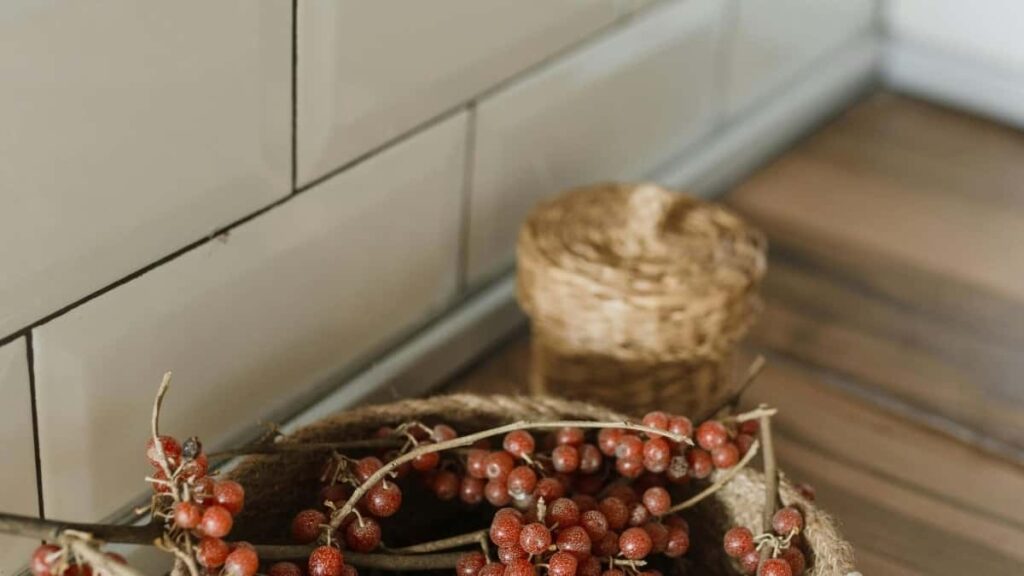 2025 France WhatsApp सबै वर्गको विज्ञापन दर नेपालका लागि