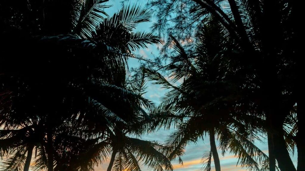 2025 Canada Facebook विज्ञापन दरहरु नेपाल बजारका लागि