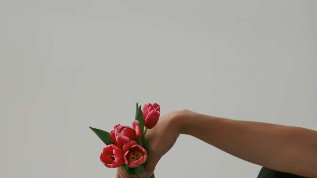 2025 Brazil Instagram सबै वर्ग विज्ञापन दर कार्ड नेपालका लागि