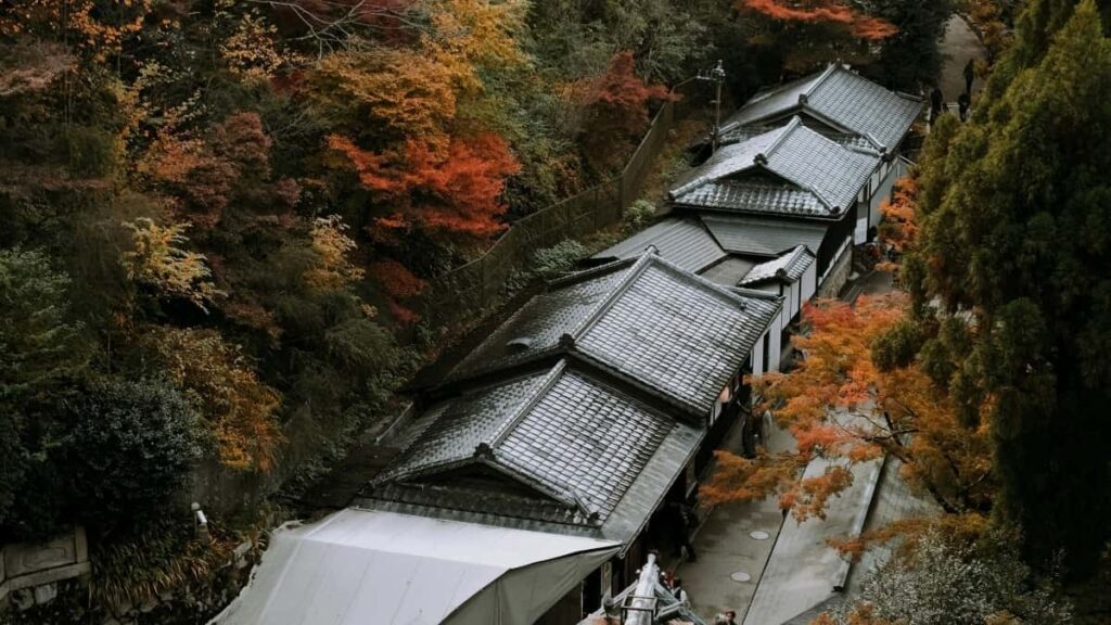 2025 France Pinterest सबै श्रेणीको विज्ञापन दर नेपालका लागि