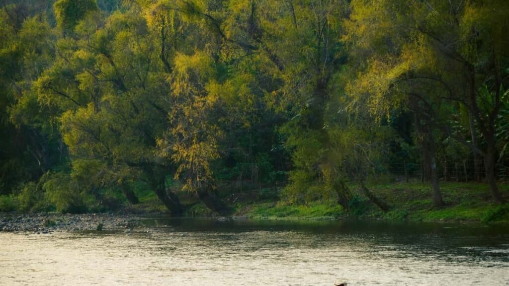 2025 Singapore WhatsApp सबै वर्गको विज्ञापन दर कार्ड नेपालका लागि