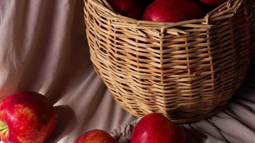 2025 Japan Twitter सबै श्रेणी विज्ञापन दर तालिका नेपालका लागि