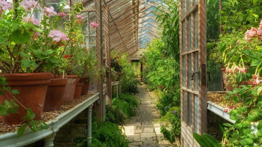 2025 Norway Twitter सबै वर्ग विज्ञापन दर तालिका नेपालका लागि