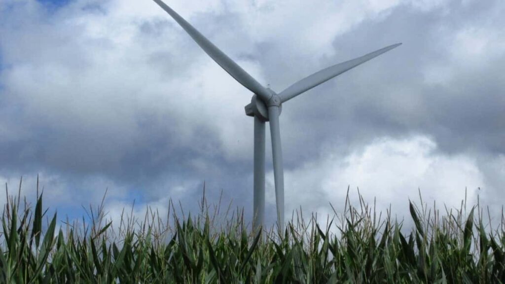 2025 Japan Telegram सबै वर्ग विज्ञापन दर नेपालका लागि