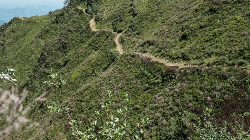 २०२५ स्विजरल्याण्ड पिन्टरेस्ट सबै वर्गको विज्ञापन दर तालिका