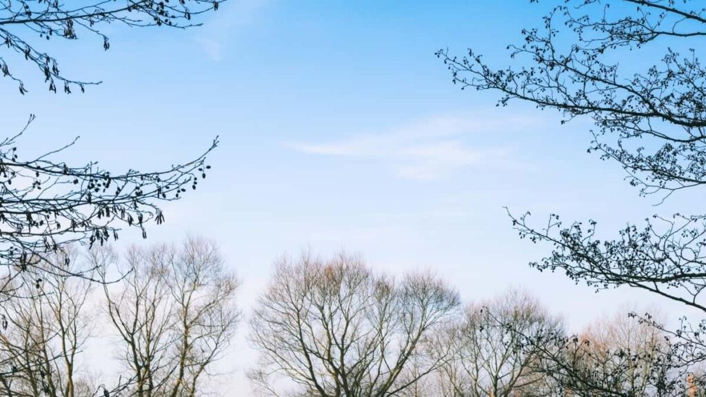 2025 Germany LinkedIn सबै श्रेणी विज्ञापन दर नेपालका लागि