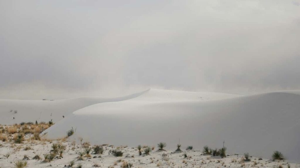 २०२५ बेलायत लिंक्डइन सबै वर्गको विज्ञापन दरहरू नेपालका लागि