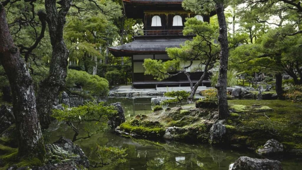 Oman मा Clubhouse क्रिएटरहरूले लाइसेन्स सम्झौता नेगोसिएशन गर्ने तरिका र नेपालका क्रिएटरहरूका लागि टिप्सहरू।