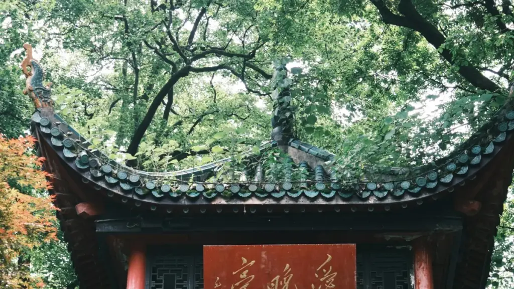 नेपালী विज्ञापनकर्ताका लागि चरणबद्ध मार्ग — चिलीका Pinterest क्रिएटर खोजेर प्रभावकारी UGC क्याम्पेन सुरु गर्ने व्यावहारिक तरिका र स्थानीय रणनीतिहरू।