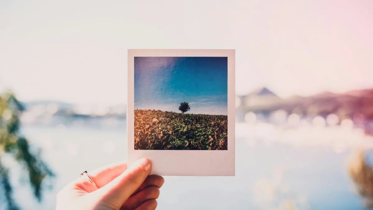 Nepal Brands: Find Bahrain Pinterest Creators Fast