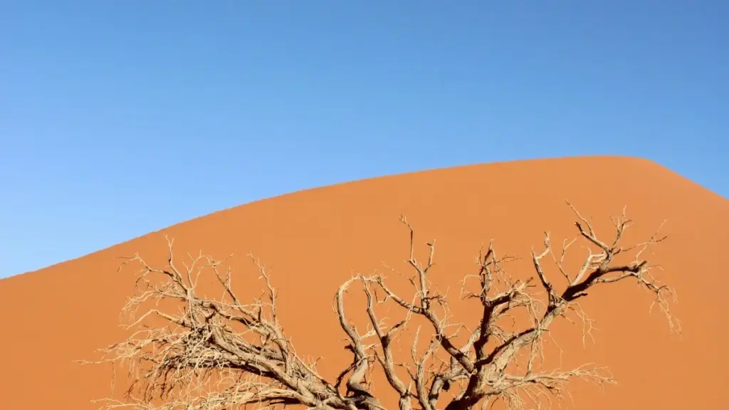 नेपालका विज्ञापनदाताहरूका लागि नयाँ ब्यूटी प्रोडक्ट प्रचार गर्न Montenegro Moj क्रिएटर कसरी खोज्ने भनेर सजिलो तरिकाहरू।