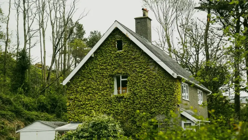 "नेपालका विज्ञापनकर्ताहरूसँग मिलेर Netherlands Line क्रिएटर्स मार्फत गेमिङ समुदायसम्म प्रभाव पुर्‍याउने व्यावहारिक गाइड। खोज, भेरिफाइ, सम्झौता र जोखिम व्यवस्थापन—सबै नेपाली दिमागले बुझ्ने तरिकाले।"