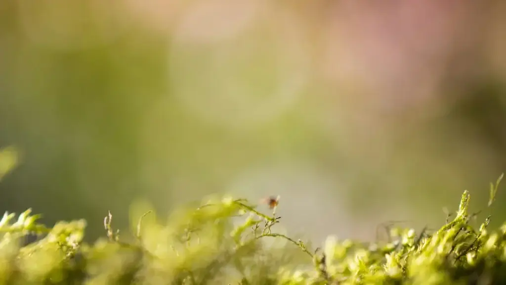 "नेपाली ब्रान्डका लागि स्वीडेनका Shopee क्रिएटर खोज्ने व्यावहारिक गाइड: PR प्याकेज पठाउने रणनीति, जोखिम र प्लेटफर्म फरकहरूको व्यावहारिक टिप्स।"