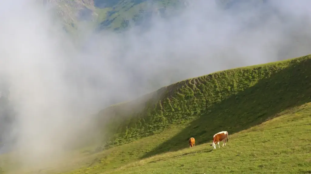 नेपालका क्रिएटरहरूका लागि LinkedIn मा कोलम्बियाका ब्रान्डहरूसँग जडान भएर मस्ट-ह्याभ आइटमहरू हाइलाइट गर्ने व्यावहारिक उपायहरू।