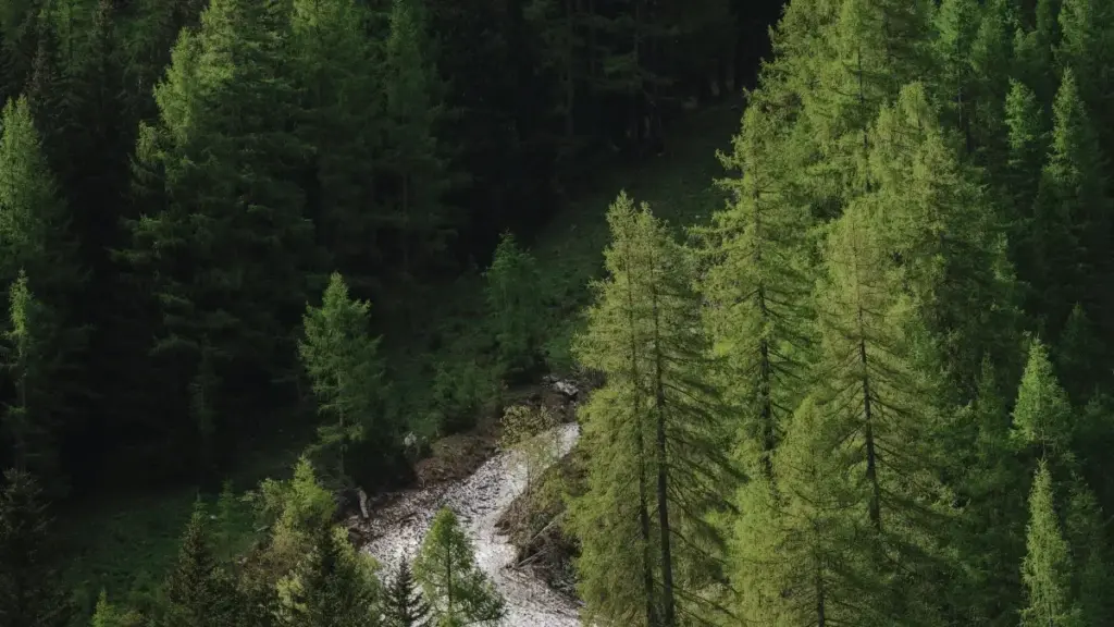 नेपालका विज्ञापनदाताहरूका लागि Armenia LinkedIn क्रिएटर्स कसरी खोज्ने र ब्यूटी ब्लगरहरूमा प्रोडक्ट सिडिङ गर्ने तरिका।