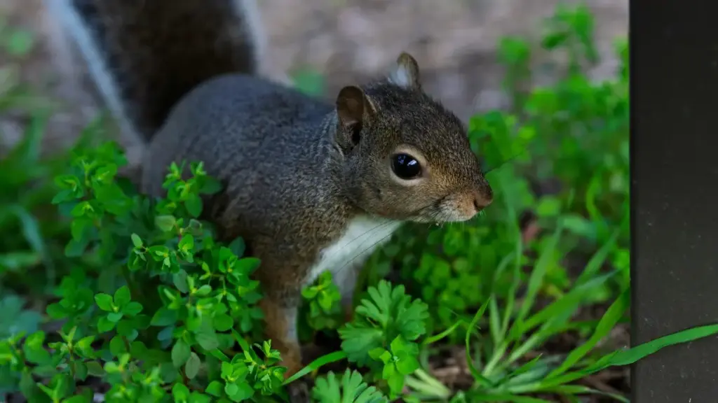 नेपालका पर्यटन स्थलहरूलाई देखाउन eBay र लोकल क्रिएटर कसरी फेला पार्ने, जुडाउने र प्रचार गर्ने—स्टेप-बाइ-स्टेप, अभ्यासयोग्य रणनीति र स्रोत-सम्मेलन।