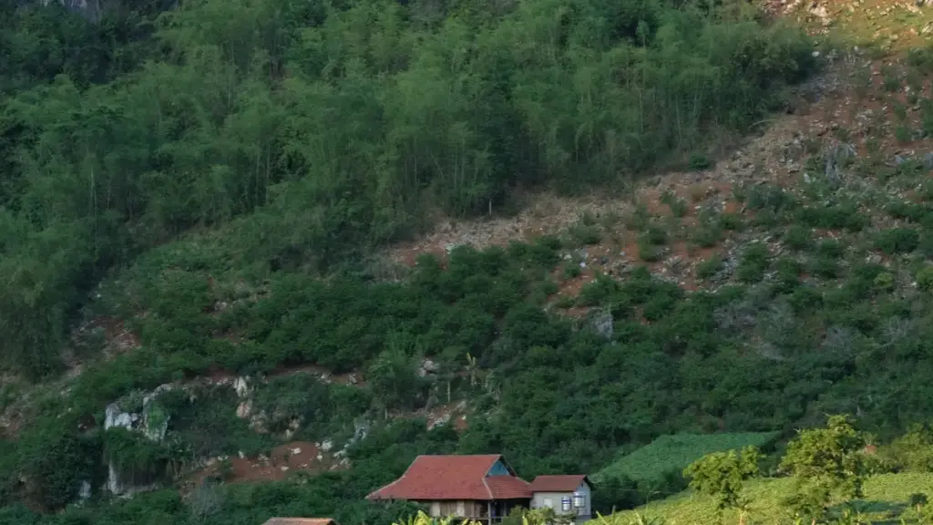 नेपालका विज्ञापनदाताहरूका लागि इजरायलका इन्स्टाग्राम क्रिएटर्स कसरी सजिलै भेट्ने र अनलाइन सिकाइ प्लेटफर्महरू प्रवर्द्धन गर्ने उपायहरू।