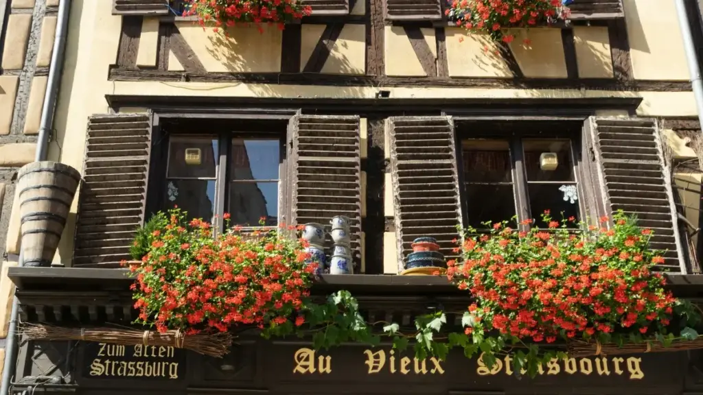 Nepal bata Armenia Snapchat creators kasari khojne ra giveaway campaign lai safal banaune practical tips haru.