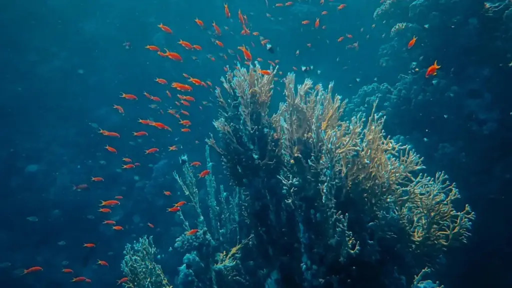 कतारका ब्रान्डहरूलाई Facebook मा कसरी सम्पर्क गर्ने र PR प्याकेज अनबक्स/रिभ्यु गर्ने — नेपाली क्रिएटरका लागि व्यावहारिक कदमहरू र टेम्प्लेटहरू।