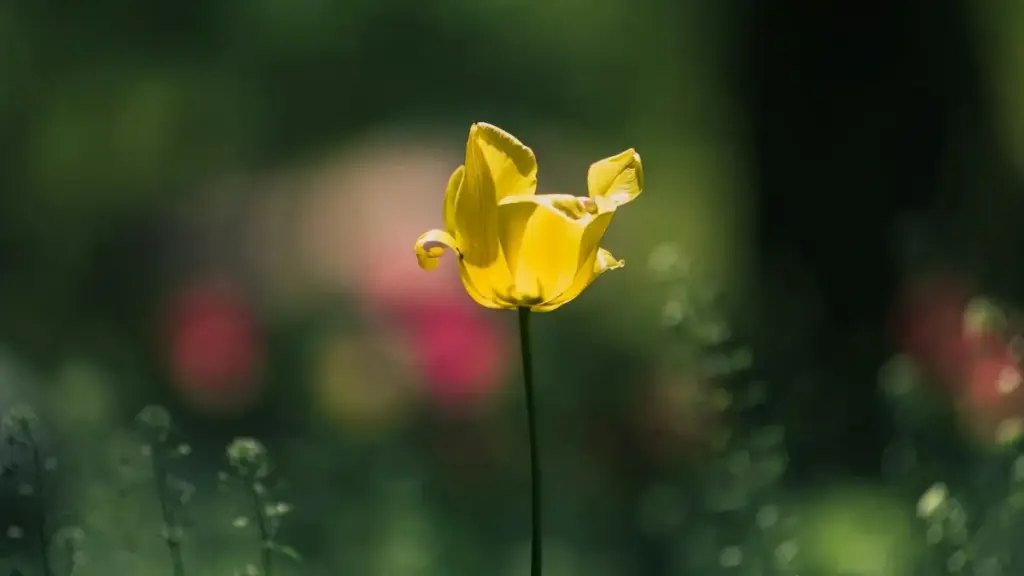 नेपालका क्रिएटरहरूका लागि व्यावहारिक गाइड — ShareChat मा अर्जेन्टिना ब्रान्डहरू समात्ने रणनीति र स्पोन्सर्ड टुल्स उपयोग गर्ने तरिका।