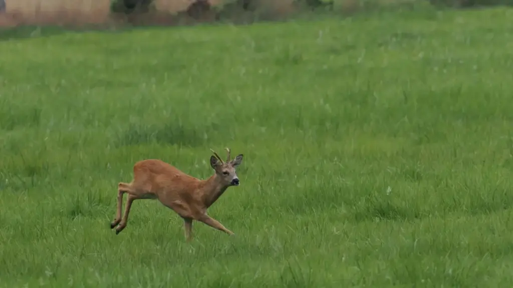 नेपालका क्रिएटरहरूका लागि Roposo मा Armenia ब्रान्डहरूसँग before-after कन्टेन्ट साझेदारी गर्न चाहने step-by-step रणनीति, स्थानीय ट्रिक्स र उदाहरण।