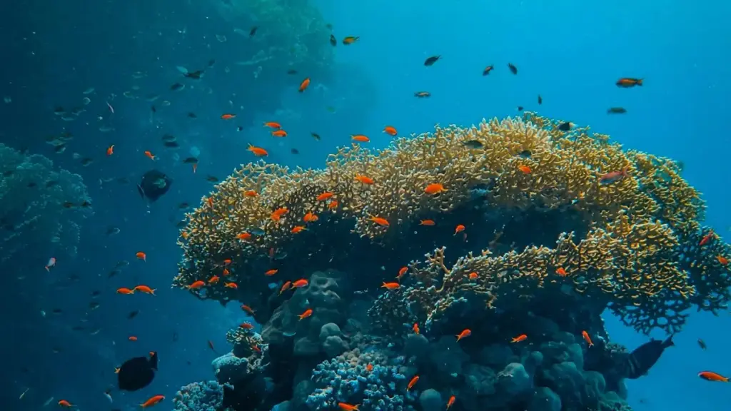 नेपालका क्रिएटरहरूका लागि व्यवहारिक गाइड: Threads मार्फत फिनल्याण्ड ब्रान्डसम्म पुग्ने, sponsored tools कसरी प्रयोग गर्ने, र जोखिम/अप्टिमाइजेसनका सल्लाहहरू।