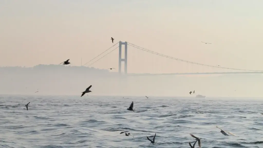 म्यानमार ब्रान्डहरूलाई SoundCloud मार्फत कसरी पहुँच गर्ने र क्रस-प्रमोशन गर्ने व्यवहारिक उपायहरू।