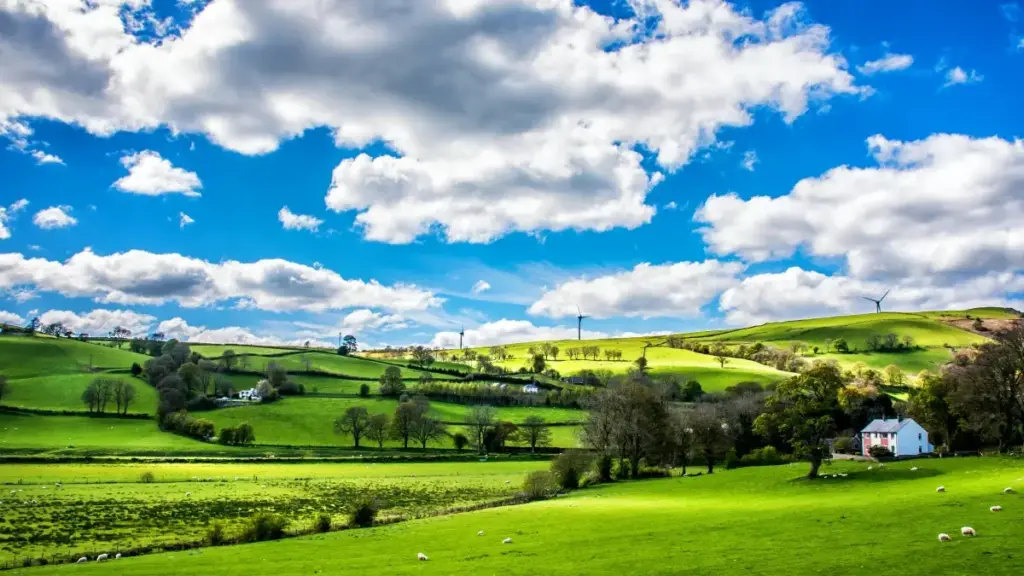 नेपाली क्रिएटरहरूका लागि प्रायोगिक गाइड: SoundCloud मा नेपালি ब्रान्डहरू भेट्ने, इन्बक्स खोल्ने र फ्ल्याट-फी डिल वार्ता गर्ने स्टेप-बाइ-स्टेप तरिका।