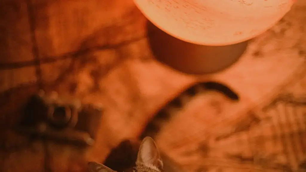 नेपालबाट फ्रान्स Twitter क्रिएटर खोजेर प्रोडक्ट/कम्प प्रयोग गर्ने सजिलो, प्रायोगिक गाइड — छनोट, स्थानीय ट्रेन्ड, र तिनलाई काममा लगाउने तरिका।