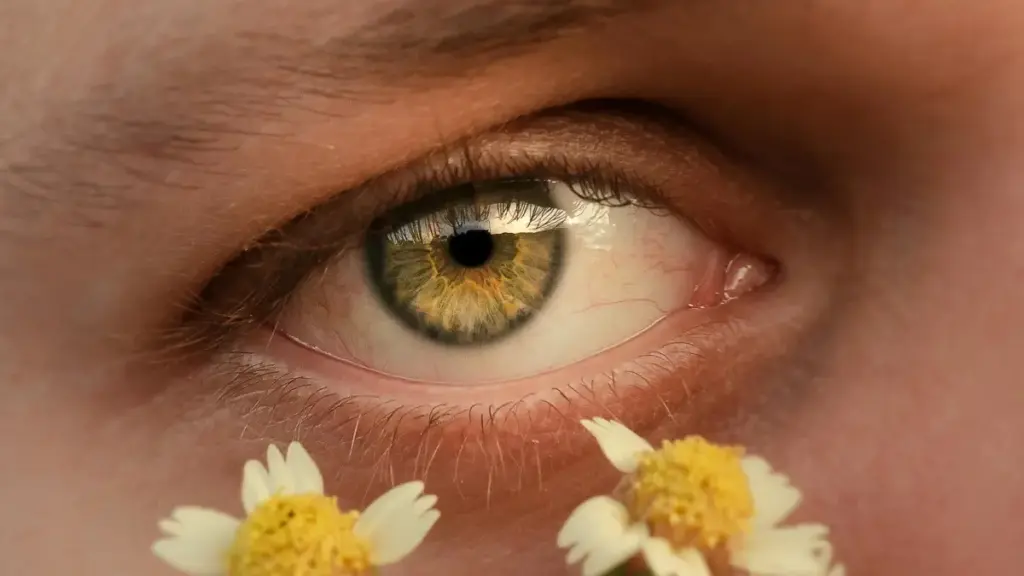 नेपालका विज्ञापनदाताहरूका लागि व्यवहारिक गाइड: केन्याका Telegram क्रिएटर्स भेट्ने तरिका, साझेदारी मोडेल र जोखिम–नियन्त्रण। स्थानीय परिदृश्य र प्लेटफर्म ट्रेन्डहरूको विश्लेषण।