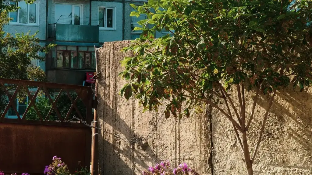 नेपालका विज्ञापनदाताका लागि गाइड: माल्टामा अवस्थित HBO Max क्रिएटर खोज्ने चरण, प्लेटफर्म रणनीति र भरोसा परख्ने तरिका।