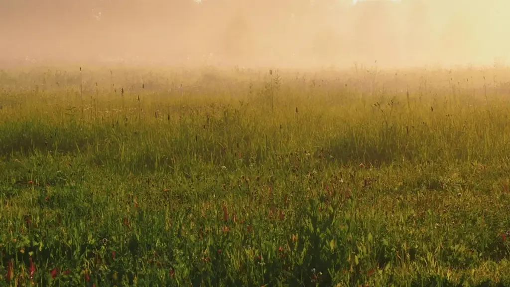 नेपाली ब्रान्डका लागि पाकिस्तानमा सक्रिय Chingari मेकअप क्रिएटर कसरी खोज्ने र सुरक्षित रूपमा कोलाबोरेट गर्ने व्यावहारिक मार्गदर्शिका।