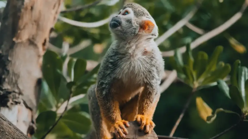 नेपालका विज्ञापनदाताहरूका लागि प्रायोगिक गाइड: जर्मनीका Disney Plus क्रिएटरहरू कसरी खोज्ने, गेमिङ कम्युनिटीमा अवेयरनेस कसरी बनाउने र बजेट अनुसार कसरी असर मापन गर्ने उपायहरू।