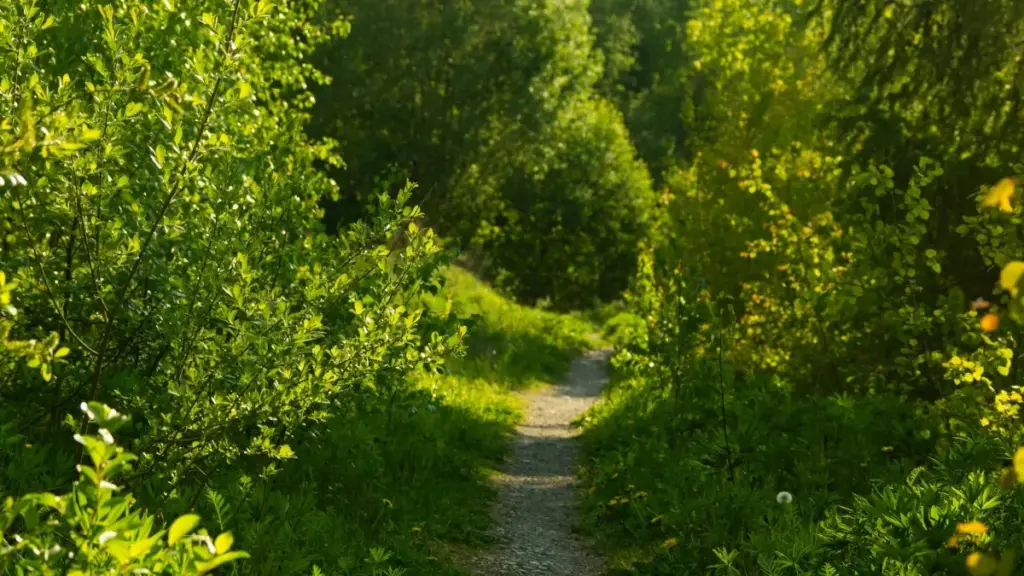 नेपालका क्रिएटरहरूमाझ लक्षित गाइड: Josh प्लेटफर्म मार्फत चिलीका ब्रान्डसँग कसरी पहुँच गर्ने, कुन च्यानल प्रभावकारी छ, र गेम की गिभअवे कसरी सुरक्षित तरिकाले आयोजना गर्ने।